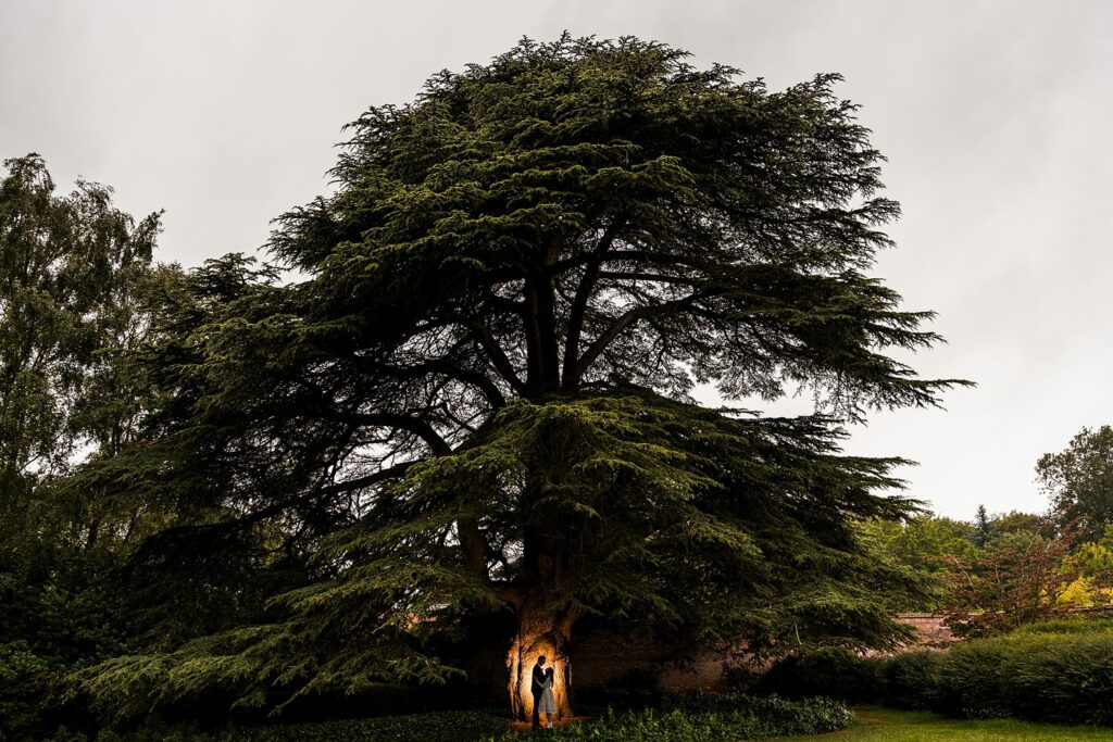 Majestic cedar tree with people embracing underneath.