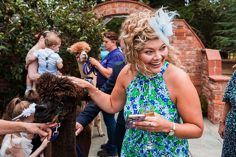 Woman at outdoor event petting alpaca
