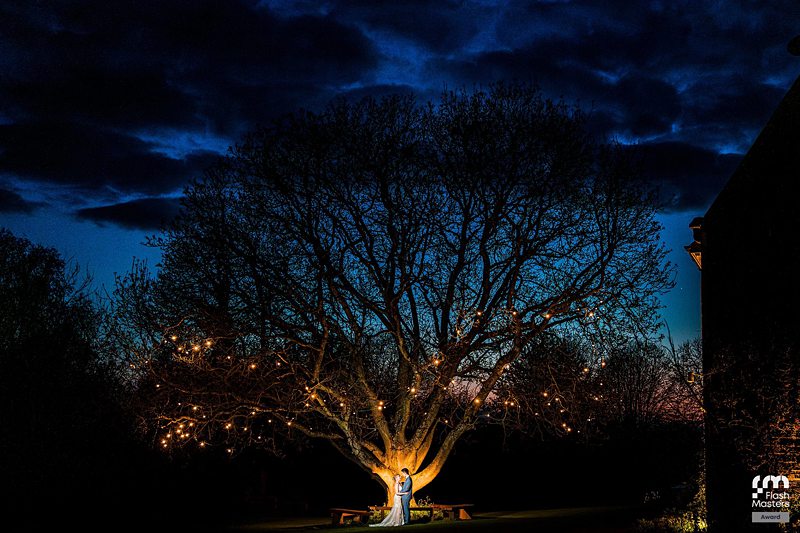 Couple under illuminated tree at dusk